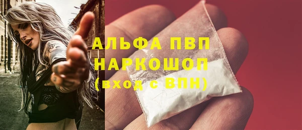 шишки Новокубанск
