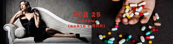шишки Новокубанск