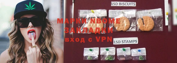 шишки Новокубанск
