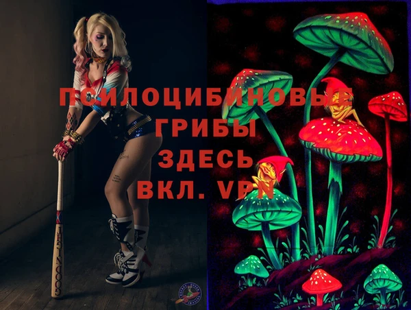 шишки Новокубанск
