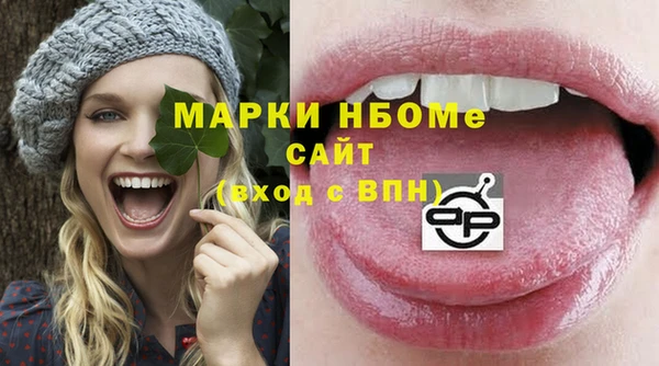 шишки Новокубанск