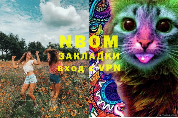 ПСИЛОЦИБИНОВЫЕ ГРИБЫ Новодвинск